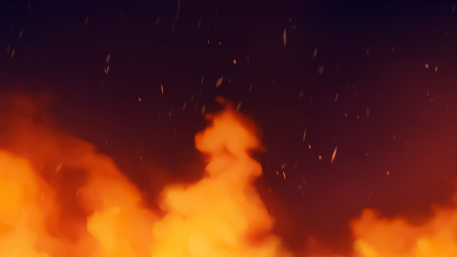 Demo Image